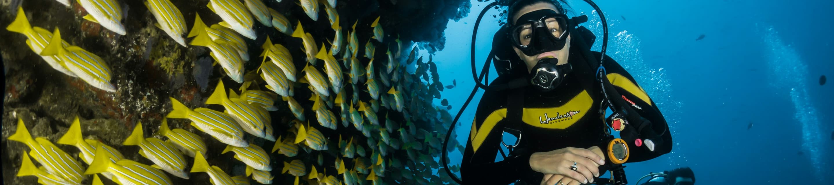 限時最後機會優惠