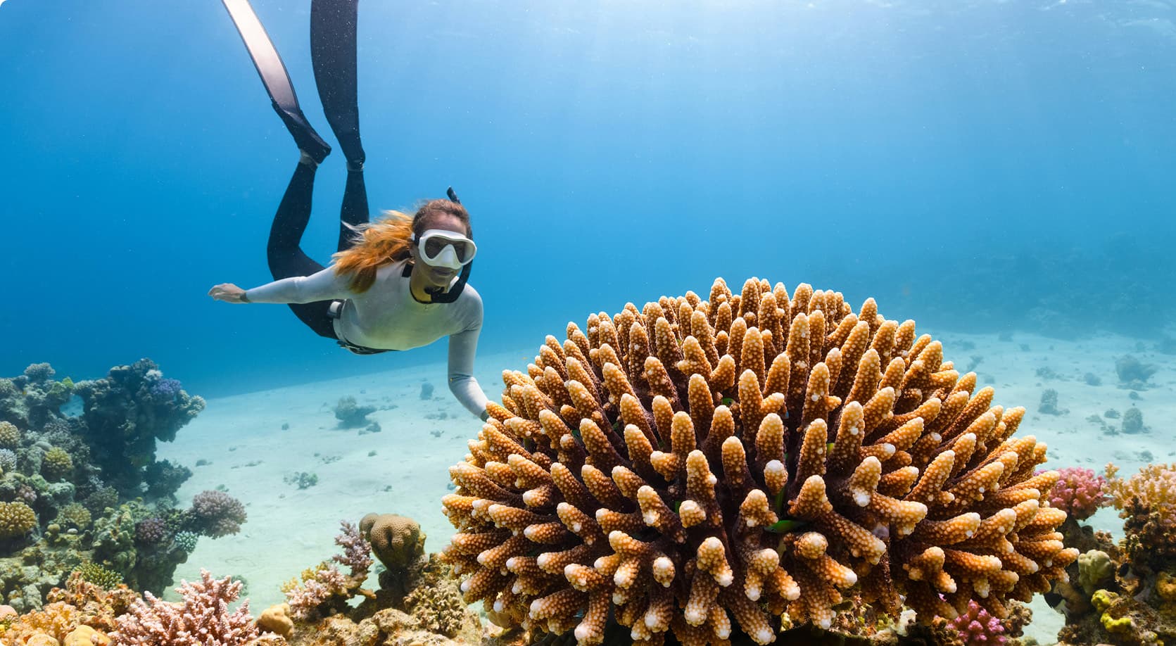 自由潛水熱門優惠